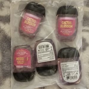 Bath & Body Work Hand Sanitizer